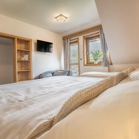 Michal Guest house *